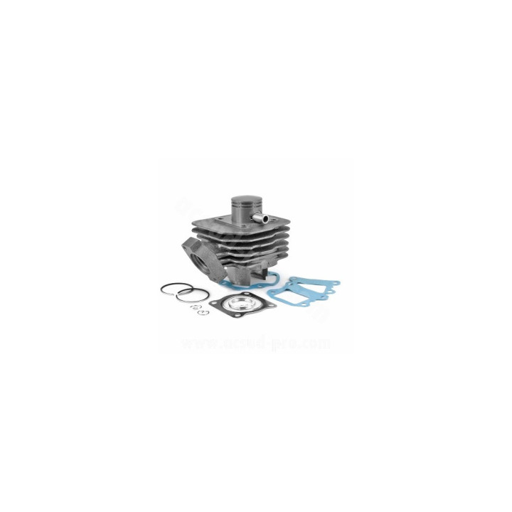 CILINDRO COMPLETO TNT PEUGEOT BUXY / VIVACITY / TREKKER