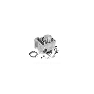 CILINDRO HONDA SH / S-WING / PANTHEON 125CC