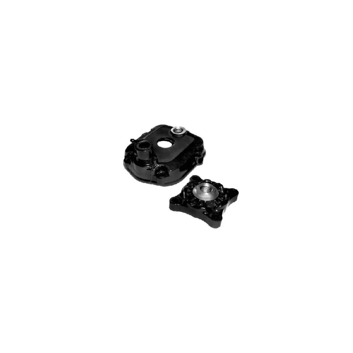 CULATA CARENZI MOTOR PIAGGIO EURO 3-4